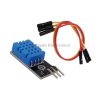 DHT11 Temperature and Humidity Sensor