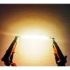33_26.jpg 1 PCS Warm white 3V 38mm LED Filament Multicolor COB EDISON Bulb