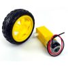 TT Motor with 15 cm Wires and Wheel Kit