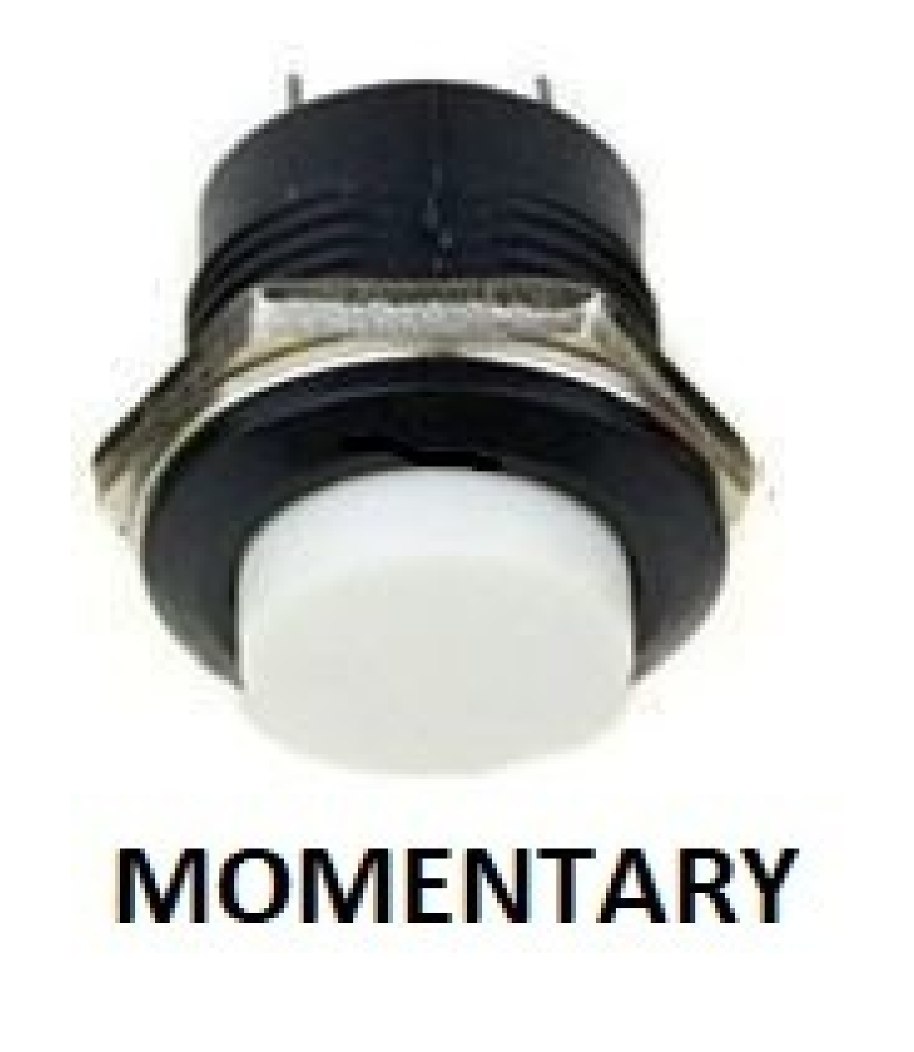 PUSH BUTTON SWITCH MOMENTARY White Color SPST 3A 250VAC
