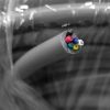6 Cores Multi Conductor Cable AWG 24 Gray 1FT(30cm)