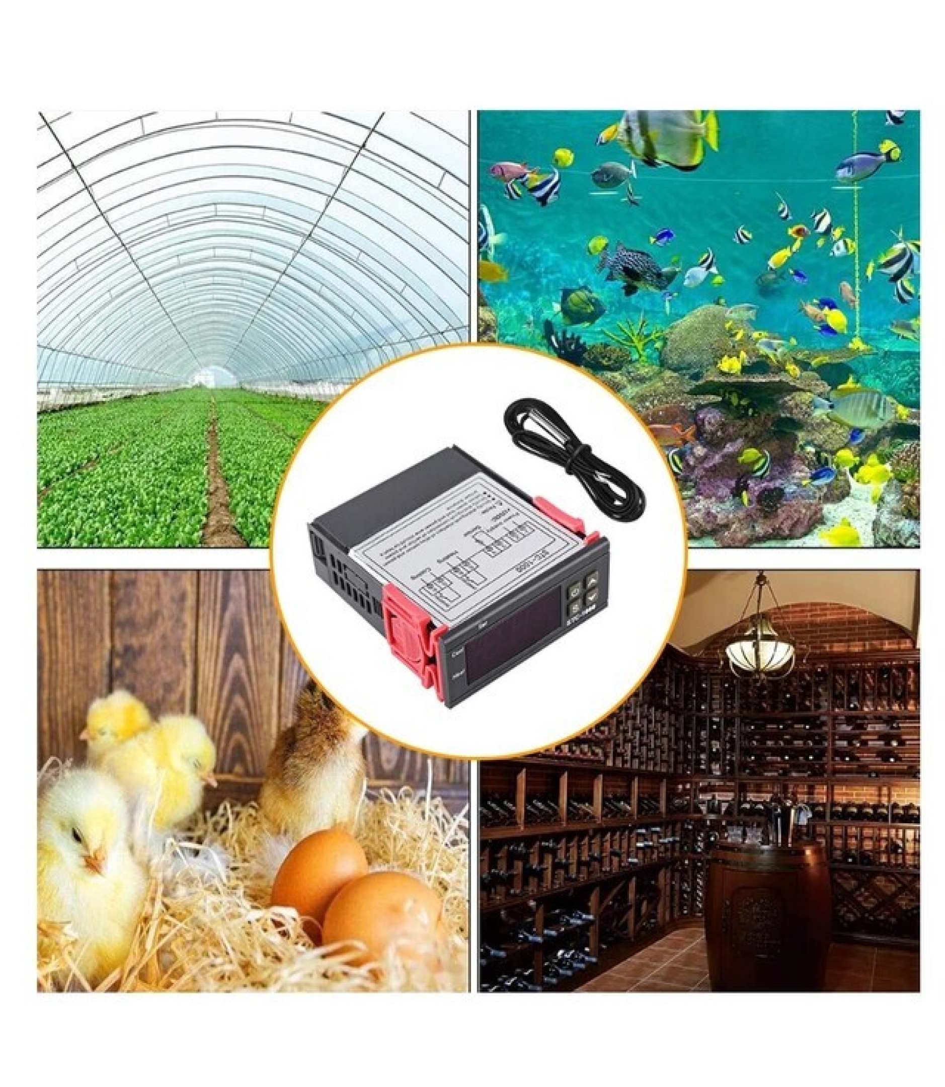 STC-1000 12V Digital Temperature Controller with Probe -50 to 99ᵒC