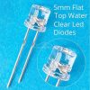 FLAT TOP White LED 5mm Water Clear Lens